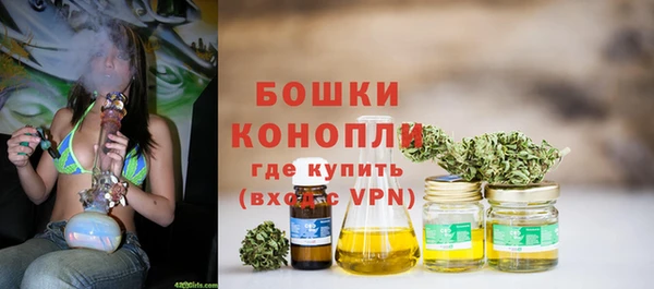 сатива Заводоуковск