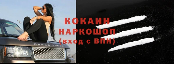 ешки Алексин