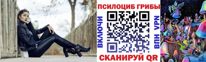 где найти наркотики  Куса  Галлюциногенные грибы GOLDEN TEACHER 